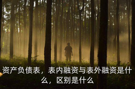 資產(chǎn)負(fù)債表，表內(nèi)融資與表外融資是什么，區(qū)別是什么