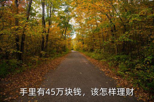 手里有45萬塊錢，該怎樣理財(cái)
