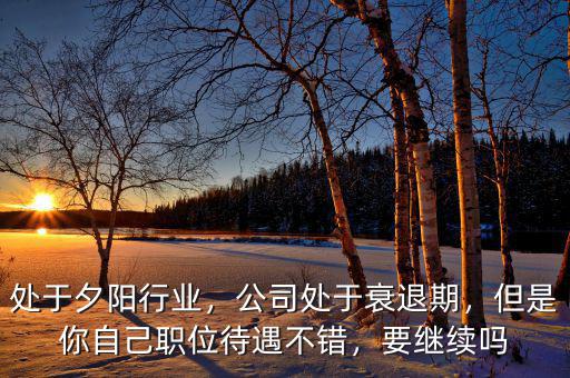 處于夕陽行業(yè)，公司處于衰退期，但是你自己職位待遇不錯，要繼續(xù)嗎