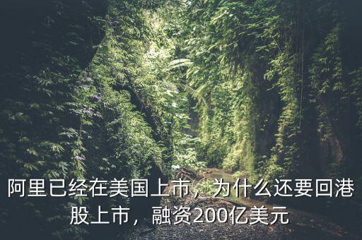 阿里已經(jīng)在美國上市，為什么還要回港股上市，融資200億美元