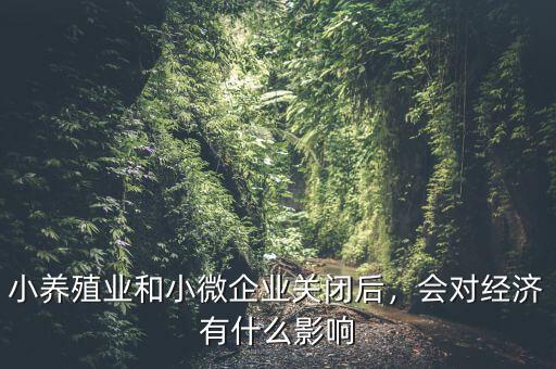 小養(yǎng)殖業(yè)和小微企業(yè)關(guān)閉后，會(huì)對經(jīng)濟(jì)有什么影響