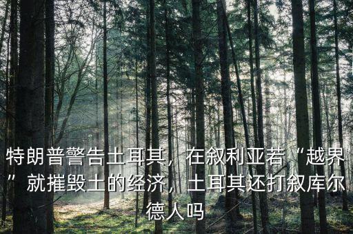 特朗普警告土耳其，在敘利亞若“越界”就摧毀土的經(jīng)濟(jì)，土耳其還打敘庫(kù)爾德人嗎