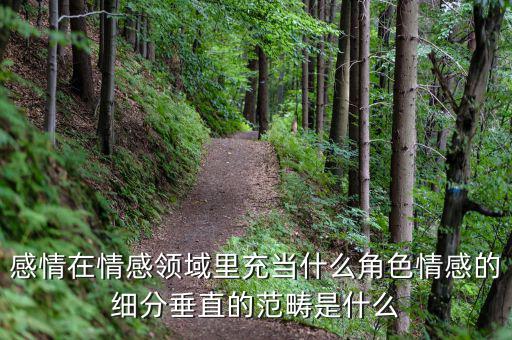 感情在情感領域里充當什么角色情感的細分垂直的范疇是什么