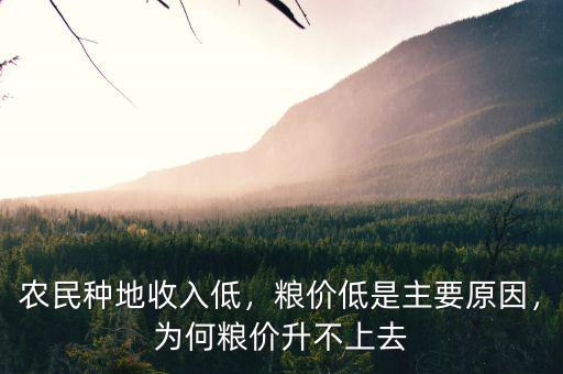 糧價低為什么外國不破產,別說什么國際糧價低