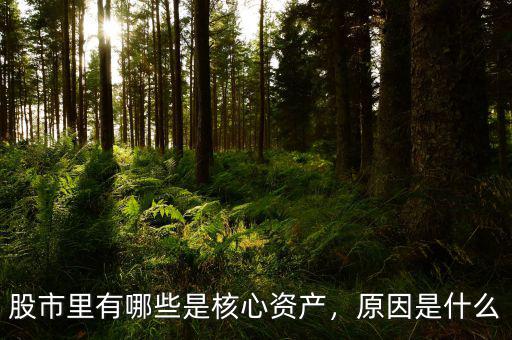 股市里有哪些是核心資產(chǎn)，原因是什么