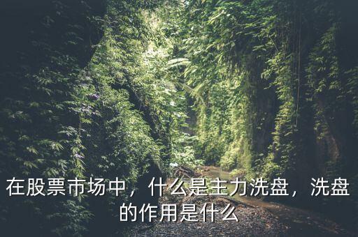 在股票市場中，什么是主力洗盤，洗盤的作用是什么