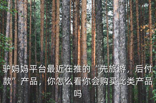 驢媽媽平臺最近在推的“先旅游，后付款”產(chǎn)品，你怎么看你會購買此類產(chǎn)品嗎