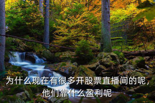 為什么現(xiàn)在有很多開股票直播間的呢，他們靠什么盈利呢