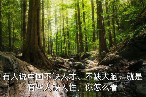 有人說中國不缺人才、不缺大腦，就是有些人缺人性，你怎么看