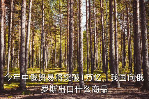 今年中俄貿(mào)易將突破1萬億，我國向俄羅斯出口什么商品