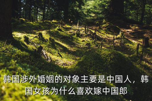 韓國人為什么不愿意結婚,為什么現(xiàn)在單身的人越來越多