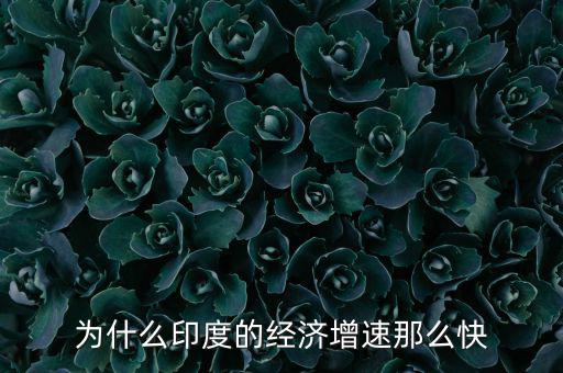 經(jīng)濟(jì)增長(zhǎng)趨勢(shì)過快為什么不好,為什么南方經(jīng)濟(jì)發(fā)展快
