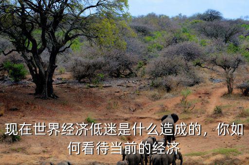 現(xiàn)在世界經(jīng)濟(jì)低迷是什么造成的，你如何看待當(dāng)前的經(jīng)濟(jì)