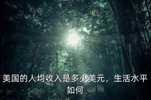 美國的人均收入是多少美元，生活水平如何