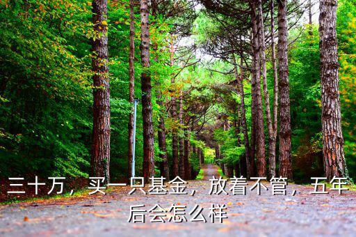 三十萬(wàn)，買(mǎi)一只基金，放著不管，五年后會(huì)怎么樣