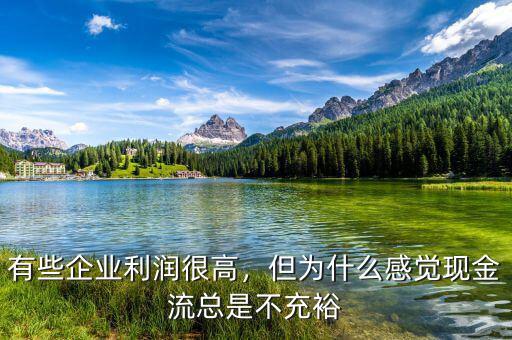 有些企業(yè)利潤很高，但為什么感覺現(xiàn)金流總是不充裕