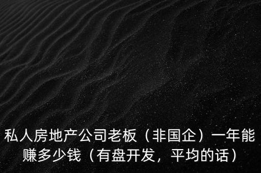 私人房地產(chǎn)公司老板（非國(guó)企）一年能賺多少錢（有盤開發(fā)，平均的話）