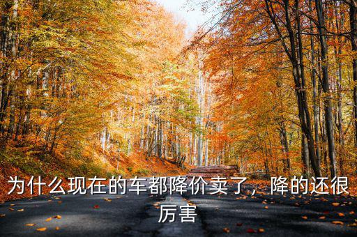 為什么現(xiàn)在的車都降價賣了，降的還很厲害