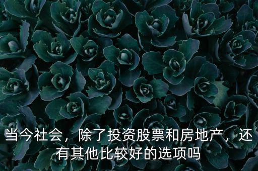 當(dāng)今社會(huì)，除了投資股票和房地產(chǎn)，還有其他比較好的選項(xiàng)嗎