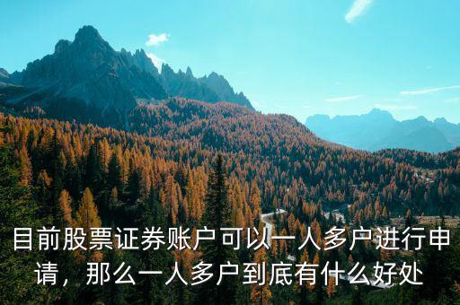 目前股票證券賬戶可以一人多戶進行申請，那么一人多戶到底有什么好處
