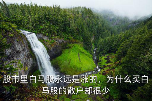 股市里白馬股永遠(yuǎn)是漲的，為什么買白馬股的散戶卻很少