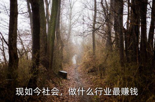 現(xiàn)如今社會(huì)，做什么行業(yè)最賺錢