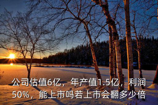 公司估值6億，年產(chǎn)值1.5億，利潤50%，能上市嗎若上市會翻多少倍