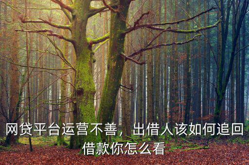 網貸平臺運營不善，出借人該如何追回借款你怎么看