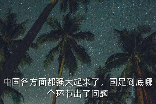 中國(guó)經(jīng)濟(jì)怎么了哪個(gè)環(huán)節(jié)出問(wèn)題了,國(guó)足到底哪個(gè)環(huán)節(jié)出了問(wèn)題
