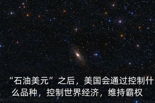 “石油美元”之后，美國(guó)會(huì)通過(guò)控制什么品種，控制世界經(jīng)濟(jì)，維持霸權(quán)