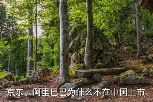 京東、阿里巴巴為什么不在中國(guó)上市