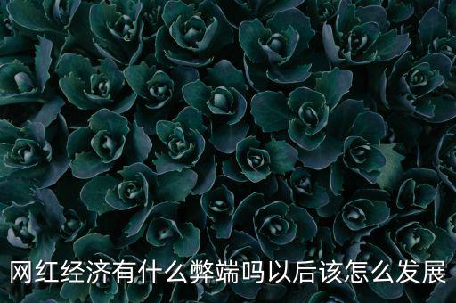 網(wǎng)紅經(jīng)濟(jì)有什么弊端嗎以后該怎么發(fā)展