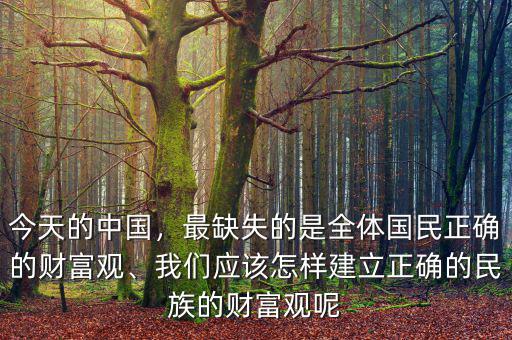 今天的中國，最缺失的是全體國民正確的財富觀、我們應該怎樣建立正確的民族的財富觀呢