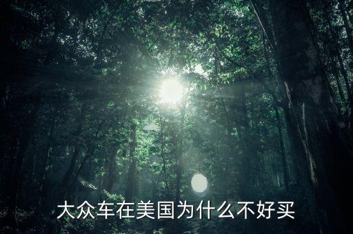 美國為什么調(diào)查大眾,大眾車在美國為什么不好買