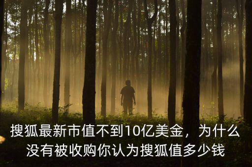 搜狐最新市值不到10億美金，為什么沒(méi)有被收購(gòu)你認(rèn)為搜狐值多少錢(qián)