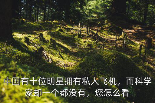 中國有十位明星擁有私人飛機，而科學家卻一個都沒有，您怎么看
