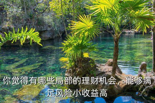 你覺得有哪些局部的理財機會，能夠滿足風(fēng)險小收益高