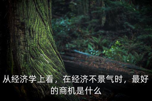 從經(jīng)濟(jì)學(xué)上看，在經(jīng)濟(jì)不景氣時(shí)，最好的商機(jī)是什么
