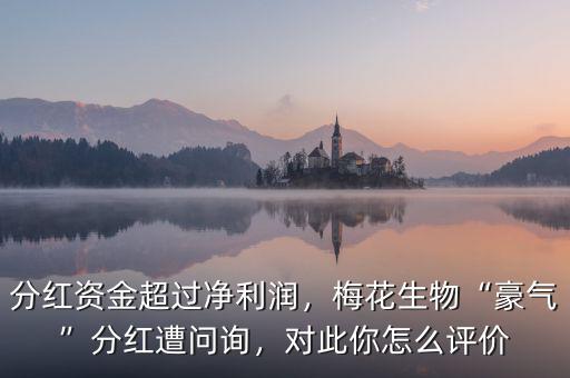 分紅資金超過凈利潤，梅花生物“豪氣”分紅遭問詢，對此你怎么評價