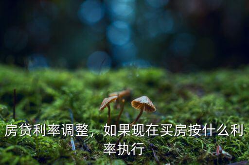 房貸利率調(diào)整，如果現(xiàn)在買房按什么利率執(zhí)行