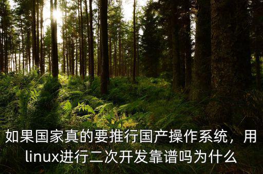 為什么要國產(chǎn)操作系統(tǒng),如果國產(chǎn)電腦操作系統(tǒng)上線