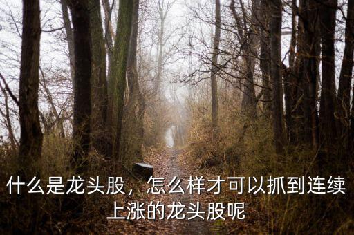 什么是龍頭股，怎么樣才可以抓到連續(xù)上漲的龍頭股呢