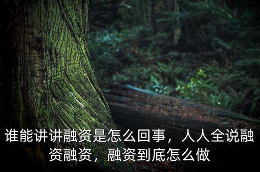 誰能講講融資是怎么回事，人人全說融資融資，融資到底怎么做