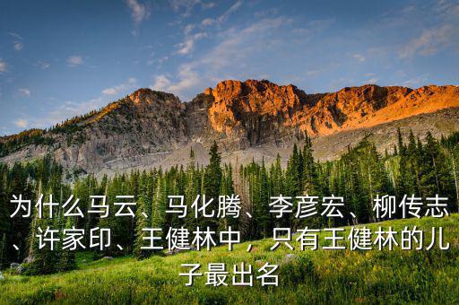為什么馬云、馬化騰、李彥宏、柳傳志、許家印、王健林中，只有王健林的兒子最出名