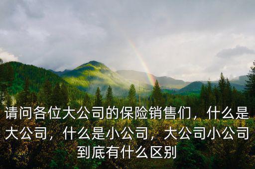 什么算小公司,什么是小公司