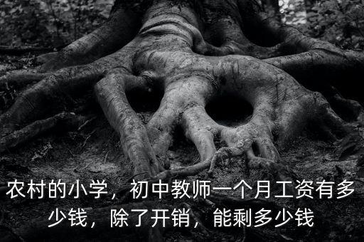 農村的小學，初中教師一個月工資有多少錢，除了開銷，能剩多少錢