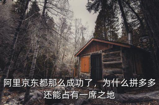 阿里京東都那么成功了，為什么拼多多還能占有一席之地