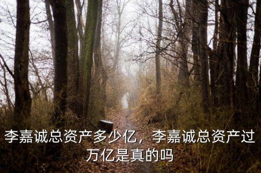李嘉誠總資產(chǎn)多少億，李嘉誠總資產(chǎn)過萬億是真的嗎