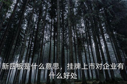 什么是四版上市,新四板是什么意思