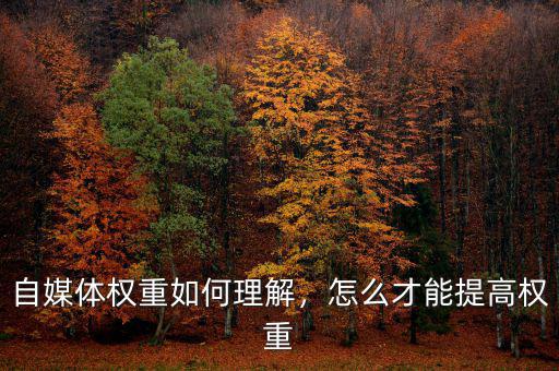 自媒體權重如何理解，怎么才能提高權重